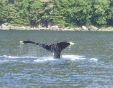 File 06-12-2015, 22 18 39