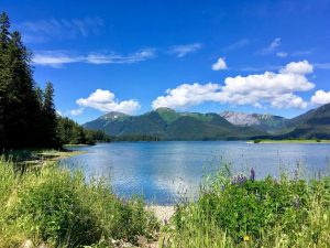 Chichagof Island Sänna