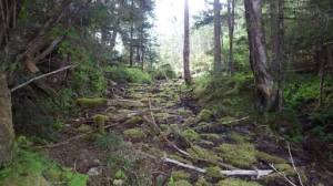 Chichagof Gold Mine Trail Sänna