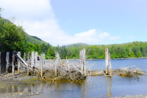 Loading Wharf, Chichagof Mine, Sänna 