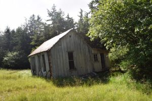 Chichagof Mining Camp Sänna 