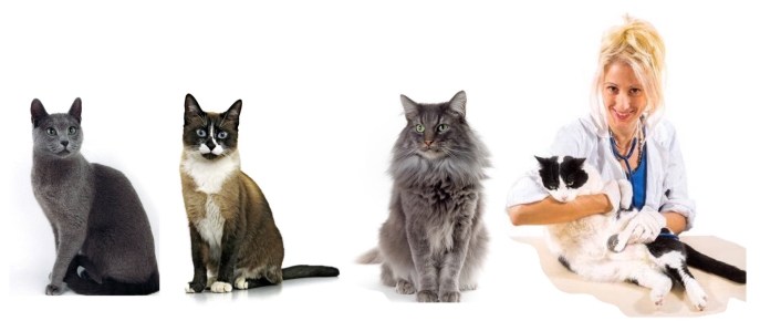 F2F7D05E-82A1-448A-BA1F-39EEC042AA7B