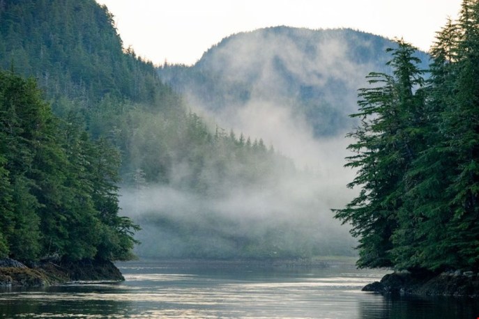 F302A3F1-7F64-4105-9A73-26D330FC546A