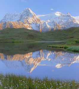 B3F4F83B-EF9D-4B68-9D9B-A2419AA37C2D